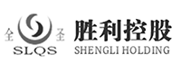 胜利集团