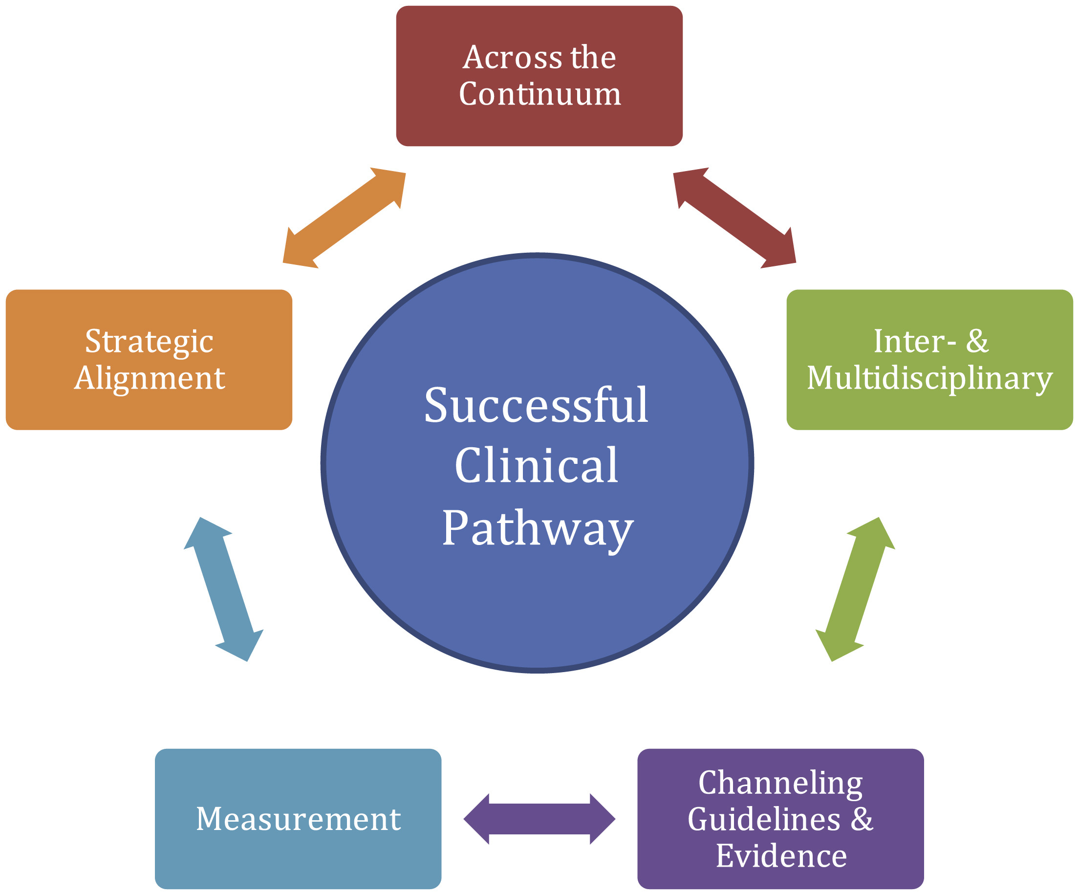 智慧医院建设项目解决方案：临床路径管理系统