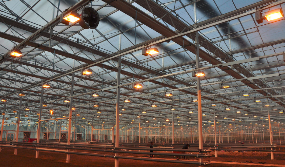种植大棚数字化改造提升：智能补光系统