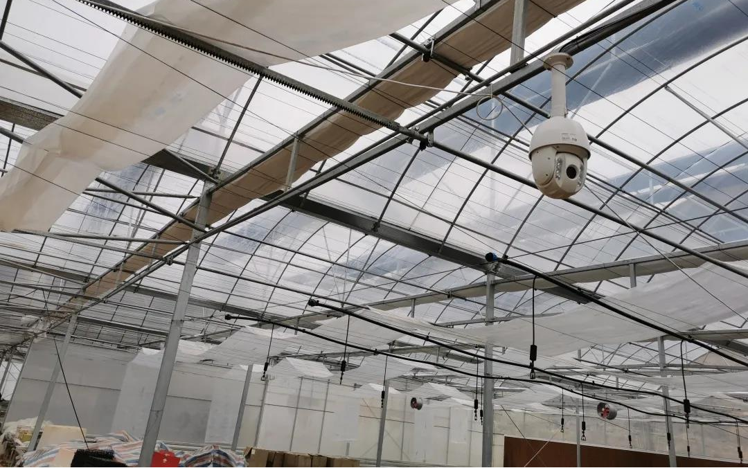 智慧农业项目方案： 种植大棚数字化改造提升