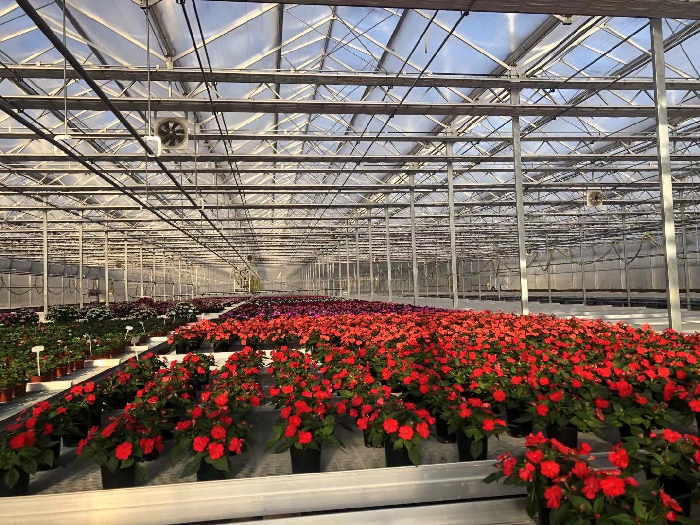 种植大棚数字化改造提升