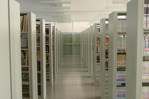 一般档案数字化项目要求，档案数字化服务内容描述